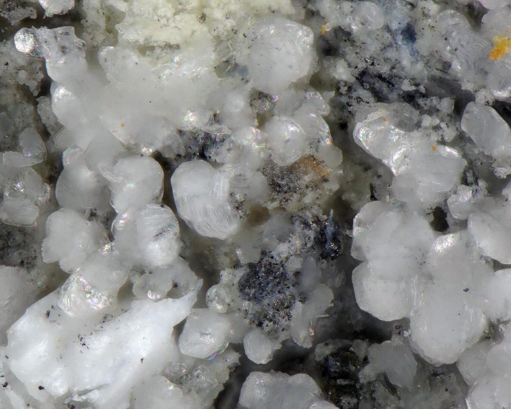 Chongite